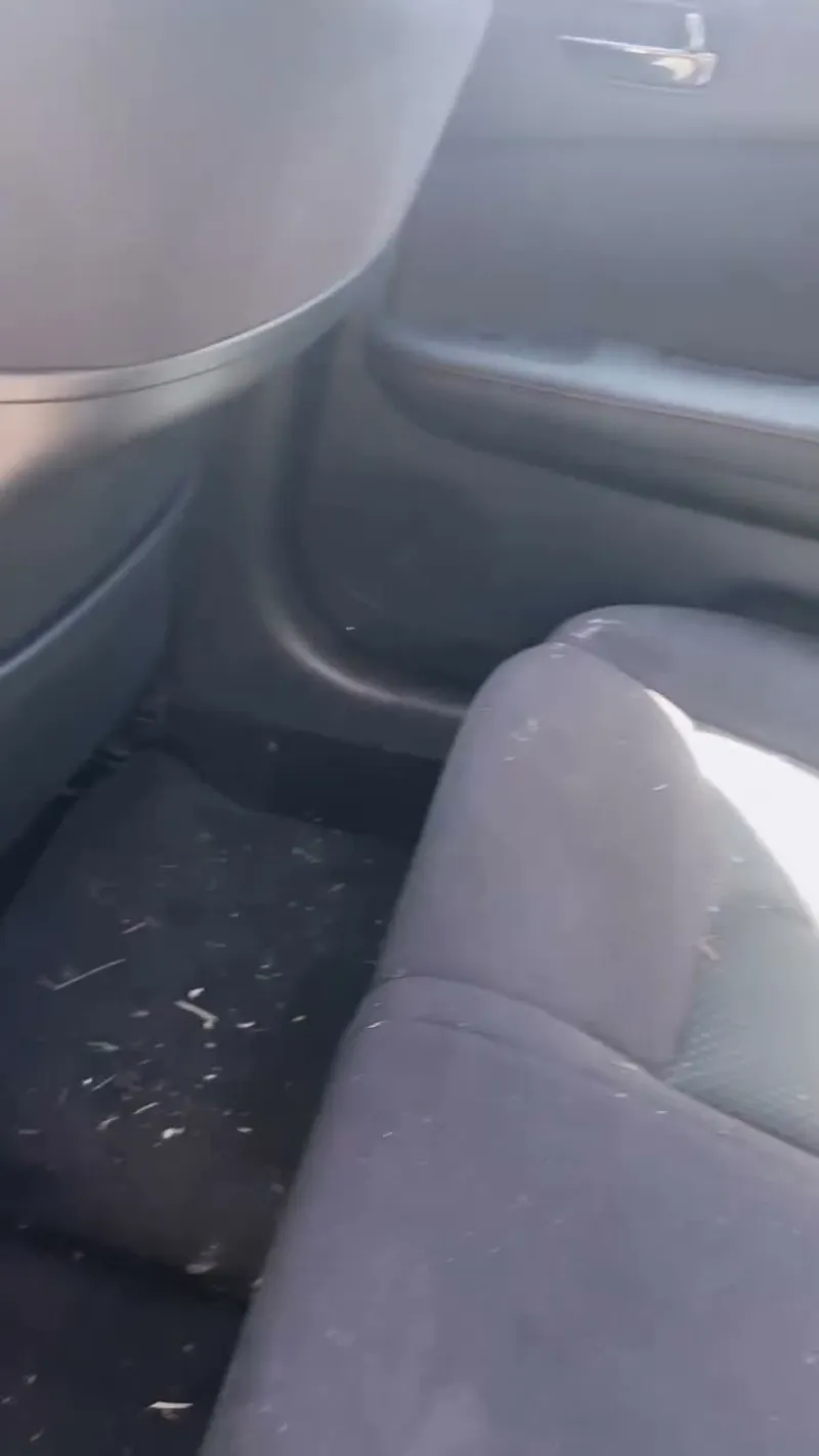 Interior Deep Cleaning