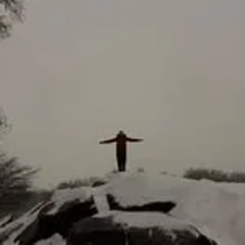 jalen_gu