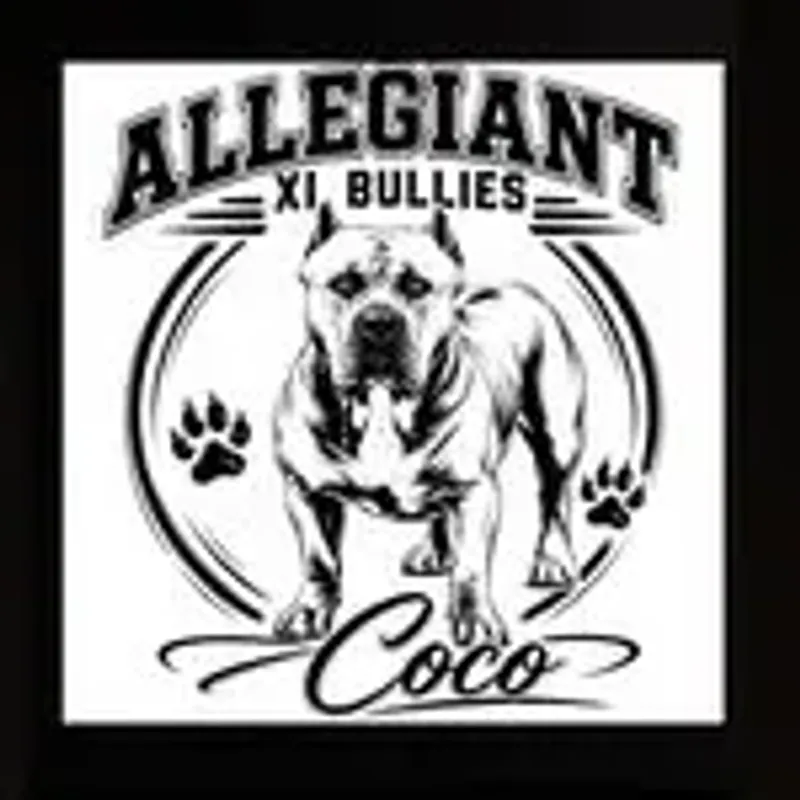 allegiant_xl_bullies