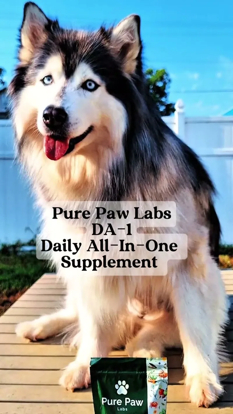 Sponsored Pet Posts