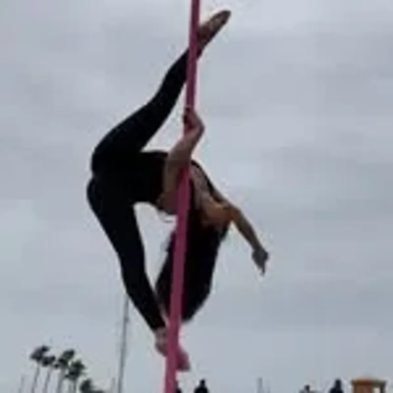 fly_likejess