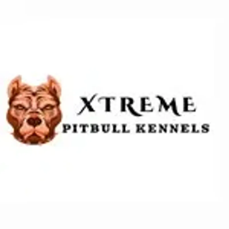 xtreme_pitbull_kennels
