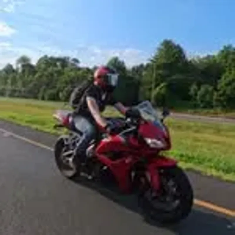 dlevine300