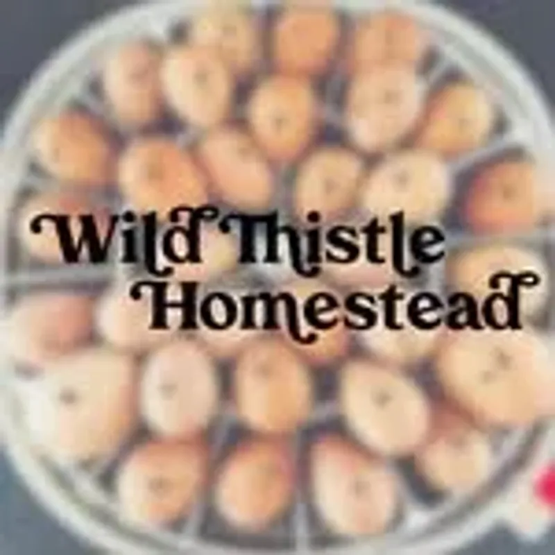 wildthistlehomestead