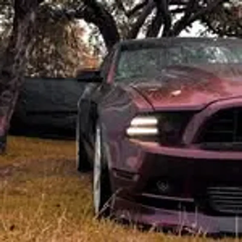 murdered_cali