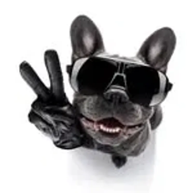 thedayofthedog