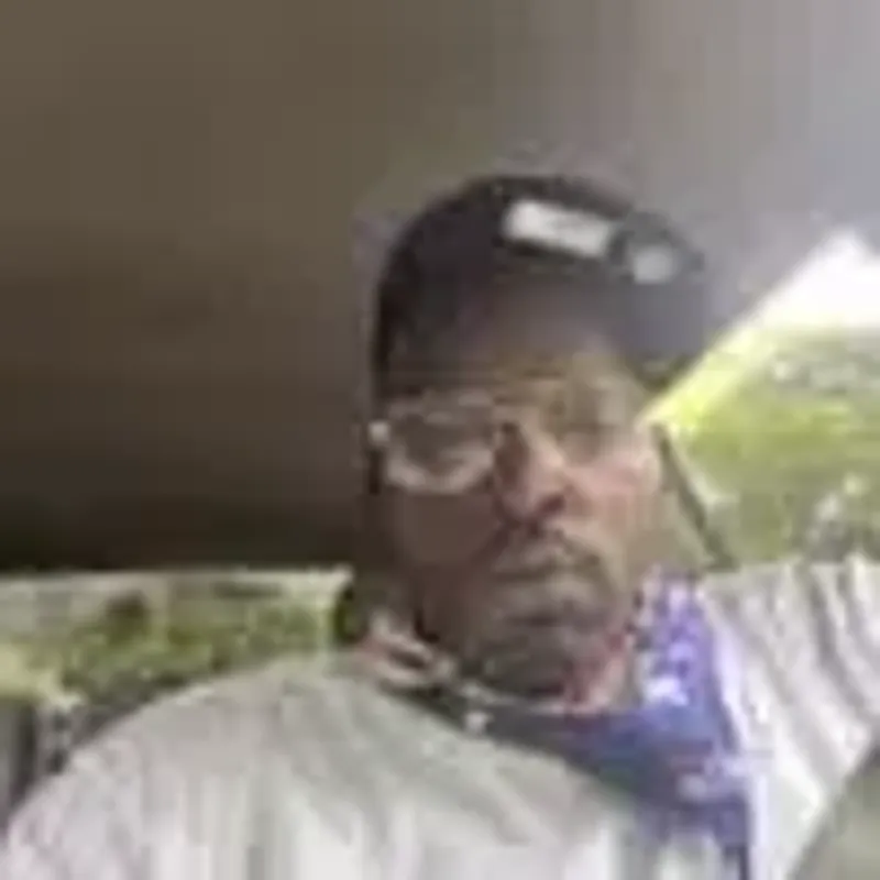 bigbostree
