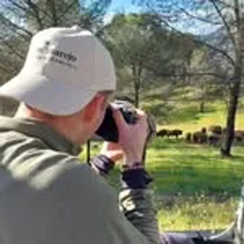 wildfocus_thomas