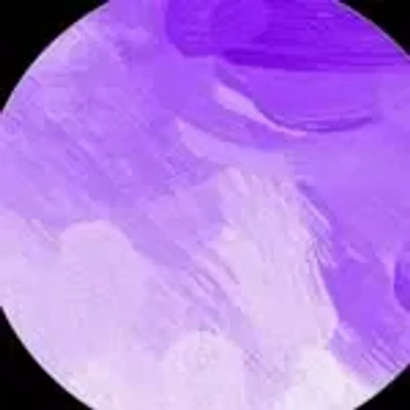 michchique
