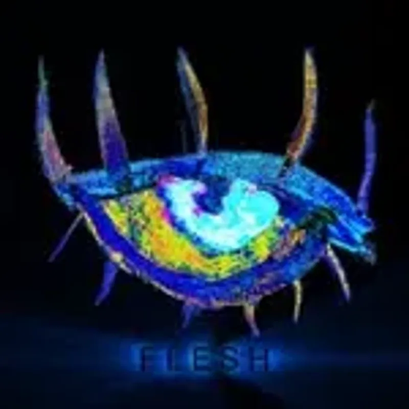 _flesh.wav
