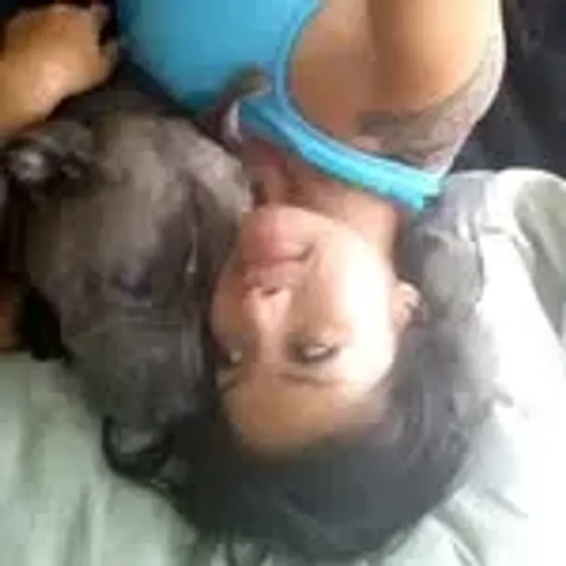 ninjapleez