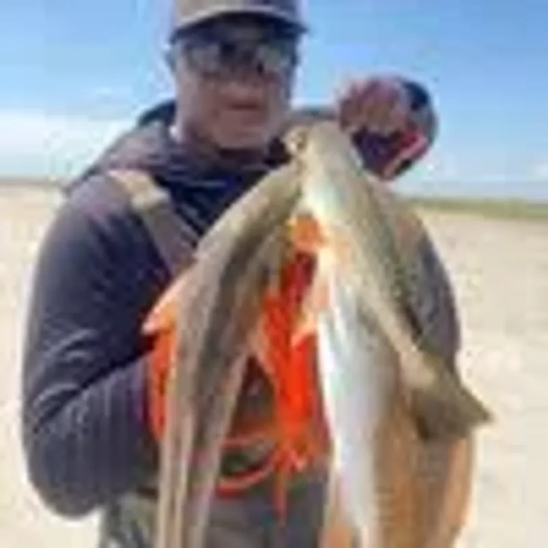 kountrybefishing