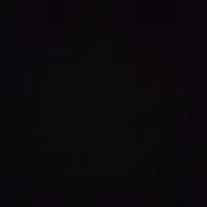 alligator.69265543