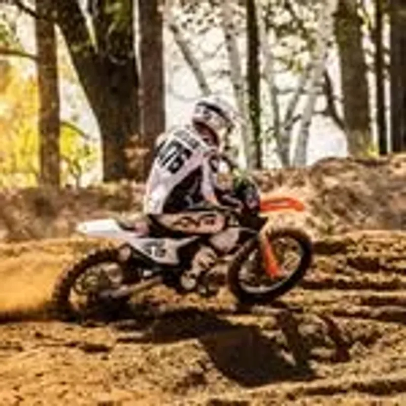 syver_476