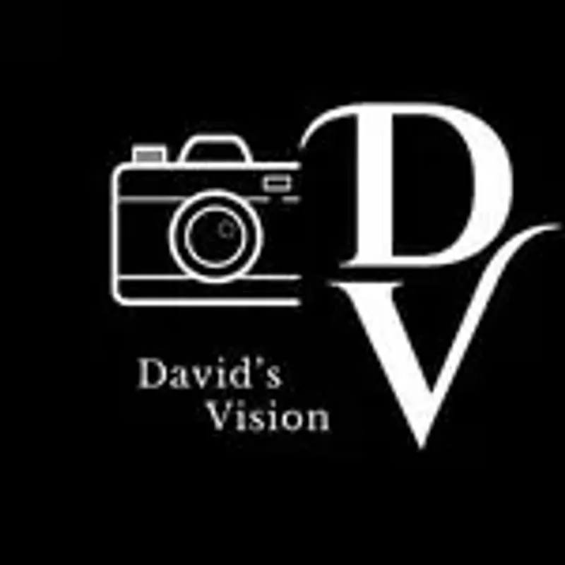 1david_vision