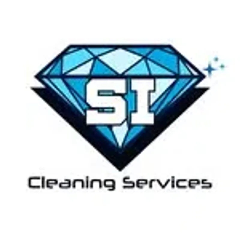 vsicleaning