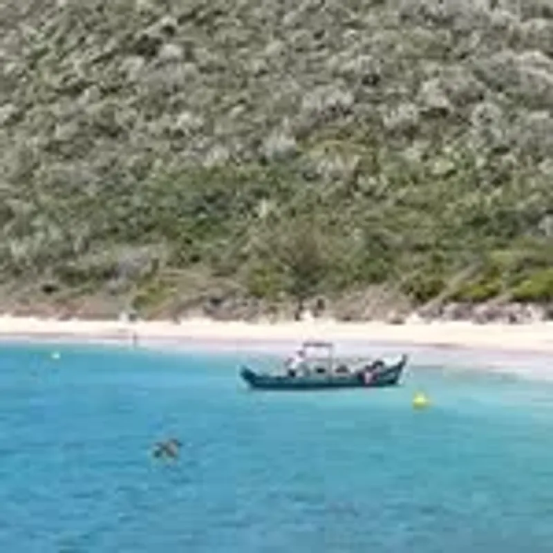 mauraffoharte