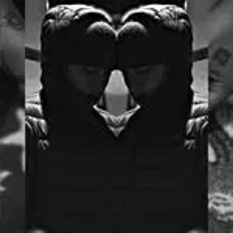 mistermetwoo