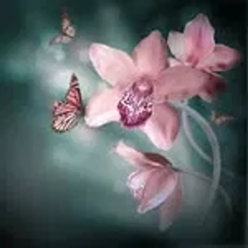 lovefourbutterfly