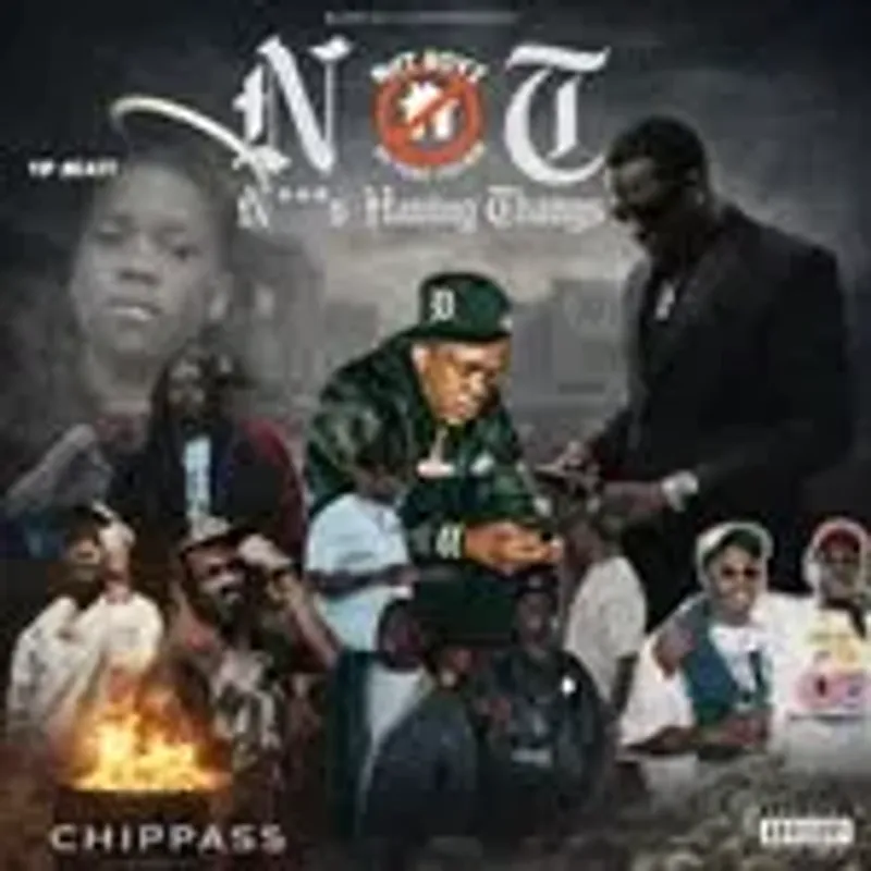 bigchippass