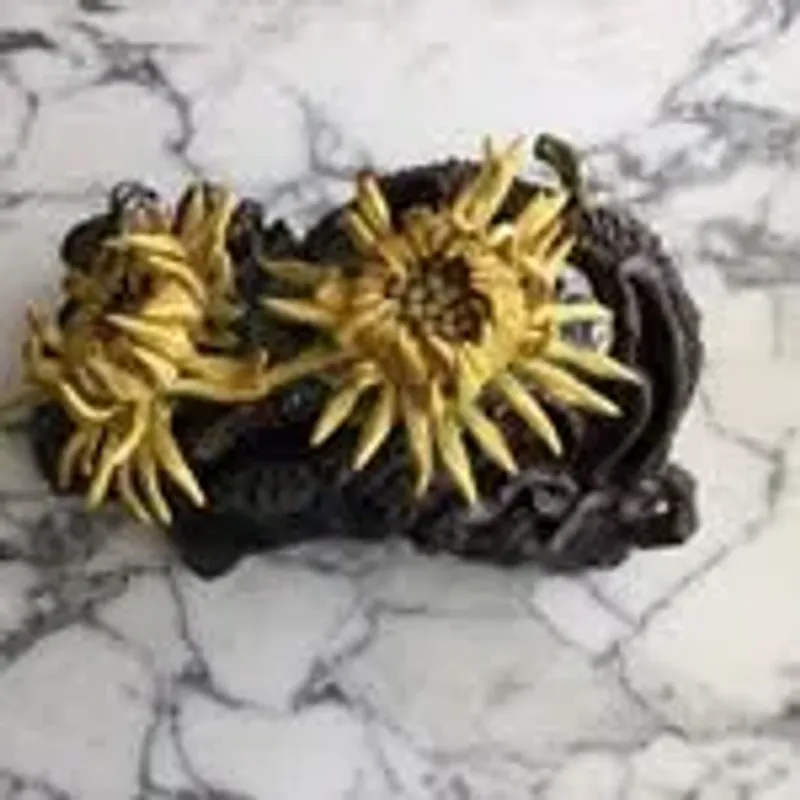 botanicaltreasures01
