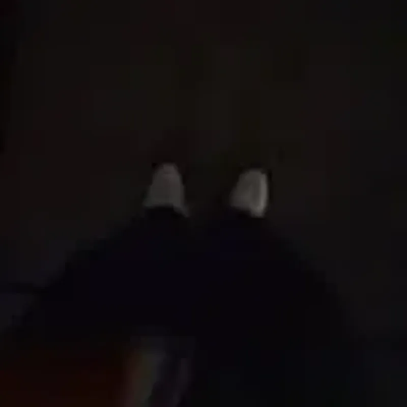 kirmonkey