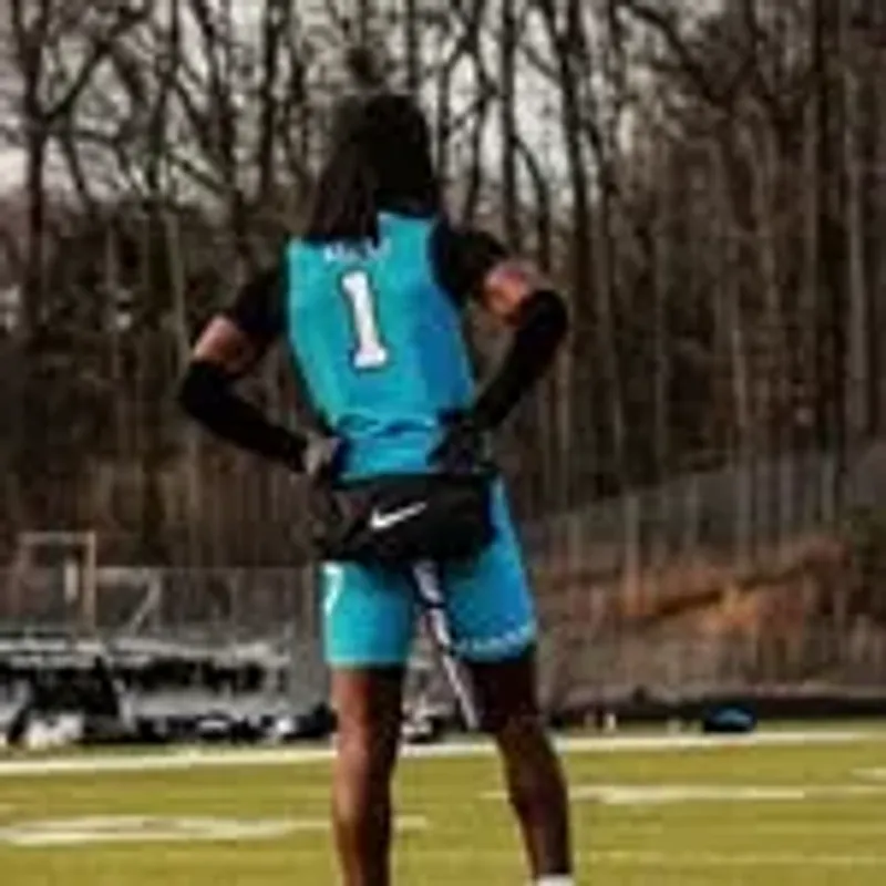 ballhawk.blunt