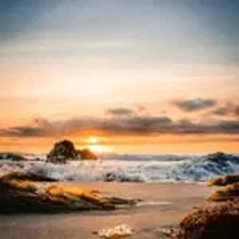 salarahmed723