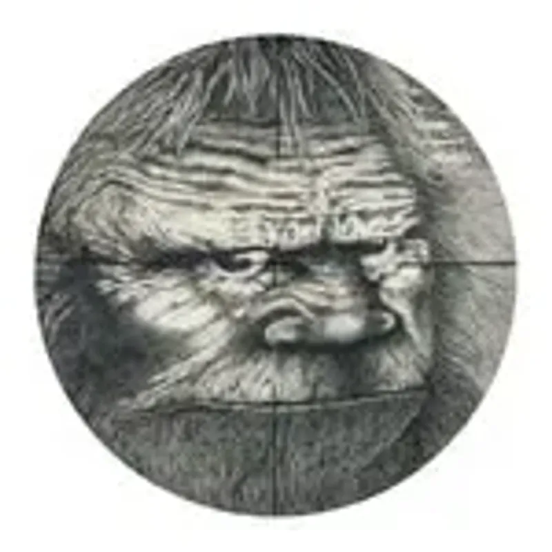 we.see.sasquatch