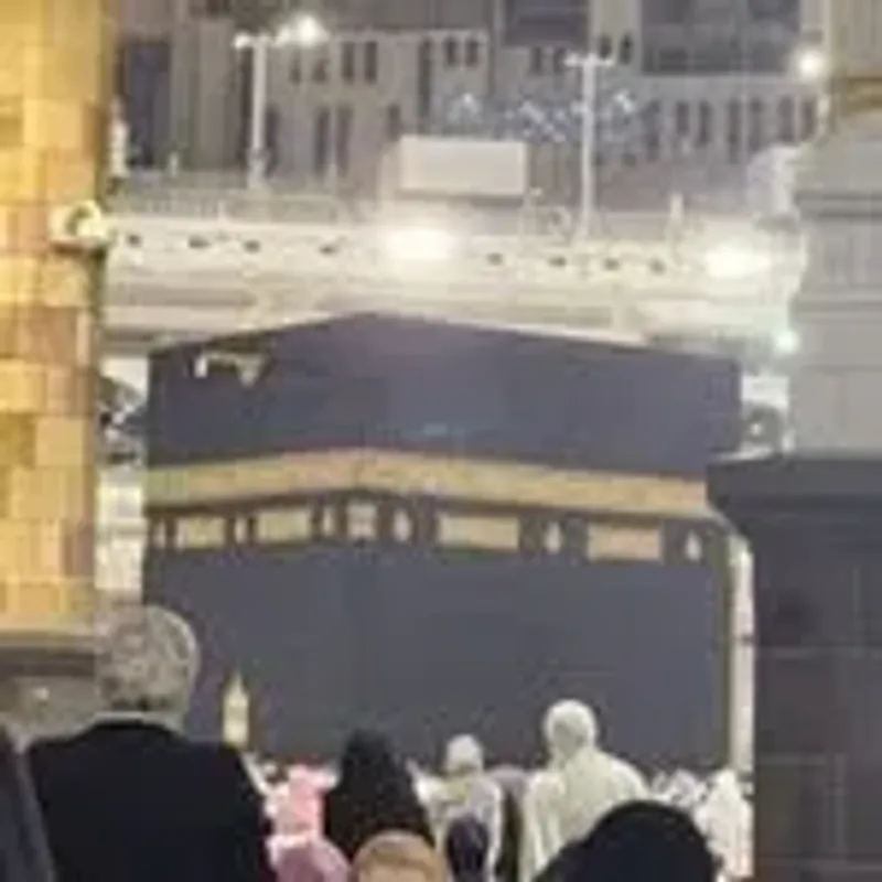 rabia.hamid786
