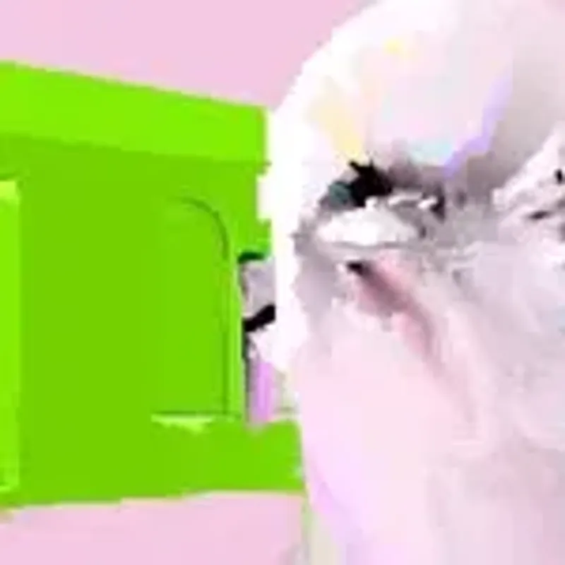 tomafomka