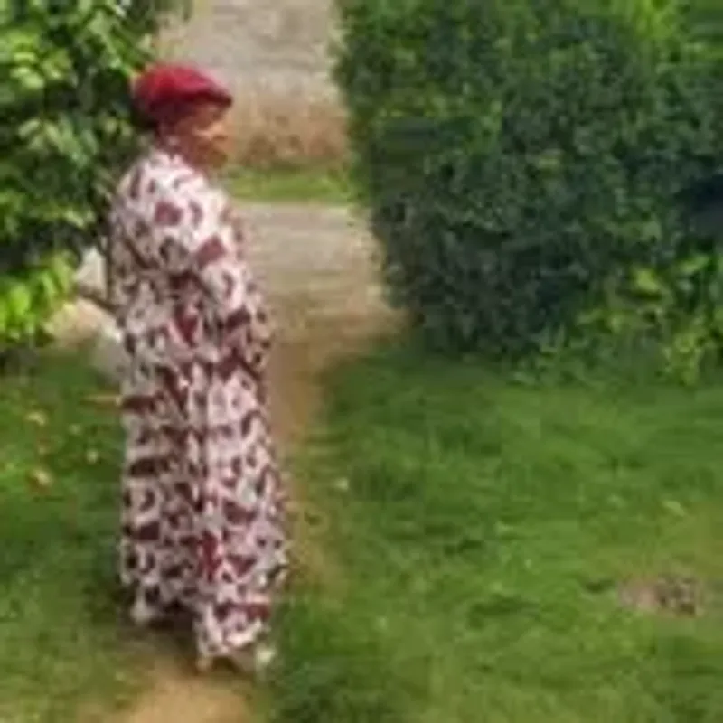 mindenisehenrycapleton