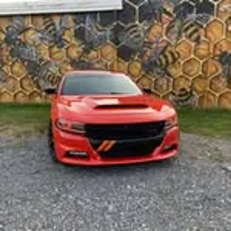 gomangohemi501