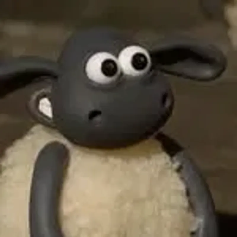 diverpaul1973